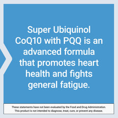 CoQ10 liver function support visual