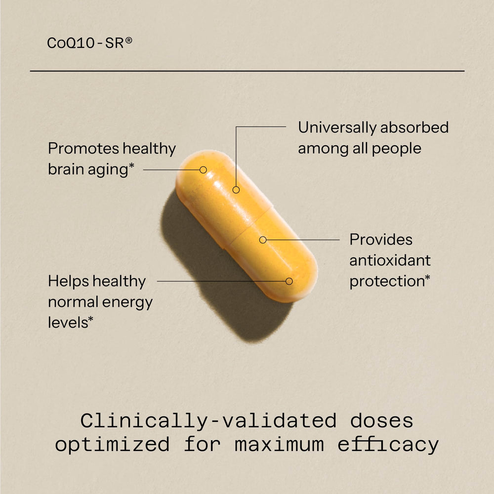 Infographic showing 24-hour sustained release of CoQ10-SR