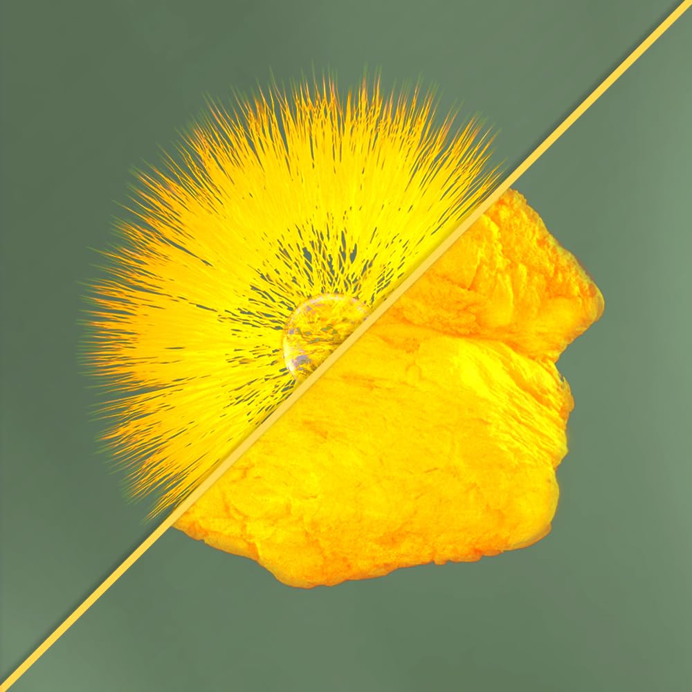 Heart health concept with CoQ10 bottle