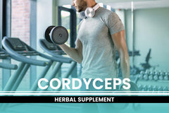 Macro close-up of Cordyceps capsules