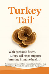 Cordyceps mushroom for energy and stamina