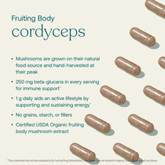 Cordyceps fruiting bodies growing on an organic farm