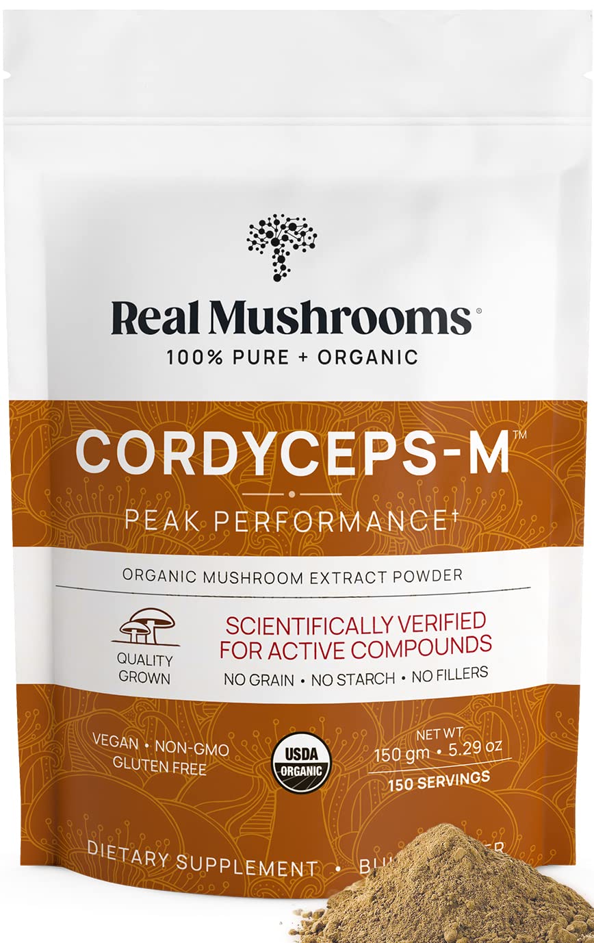 Close-up of Cordyceps Militaris fruiting body powder
