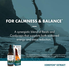 Dropper with CordyChi extract ready for dosing