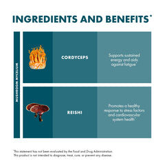 Concept image showing energy and immune support for CordyChi