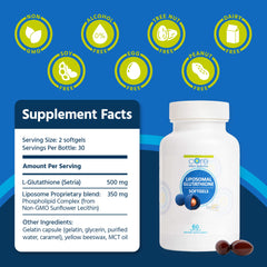 Phospholipid delivery system illustration for liposomal Glutathione