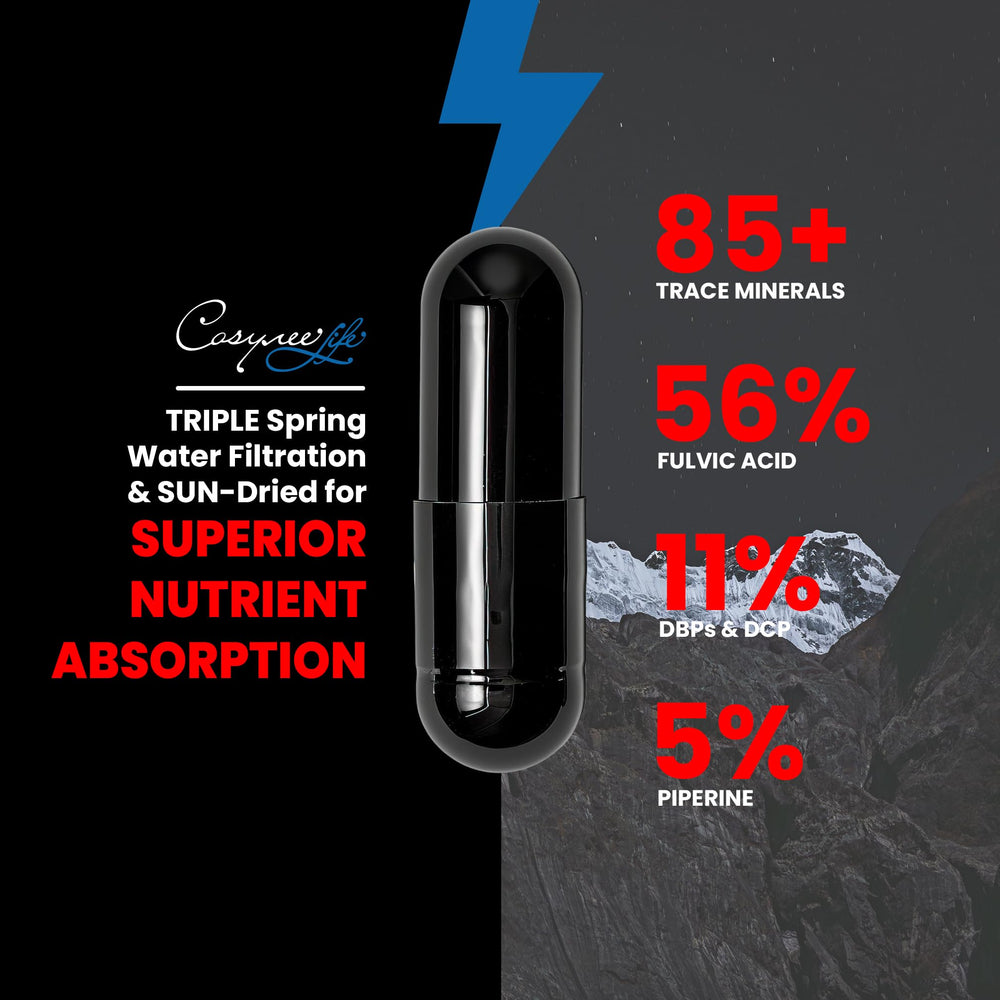 Close-up view of Shilajit capsules