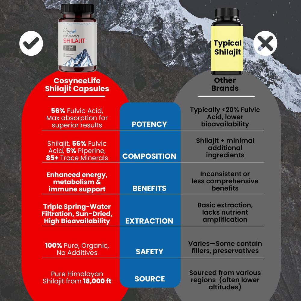Gilgit-Baltistan mountains where Shilajit is sourced