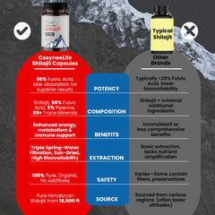 Gilgit-Baltistan mountains where Shilajit is sourced