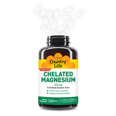 Illustration of bone and muscle health supported by magnesium