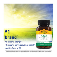 Graphic showing B6 benefits: energy production and nervous system support