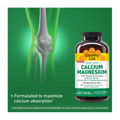 Close-up of vegan capsules inside bottle