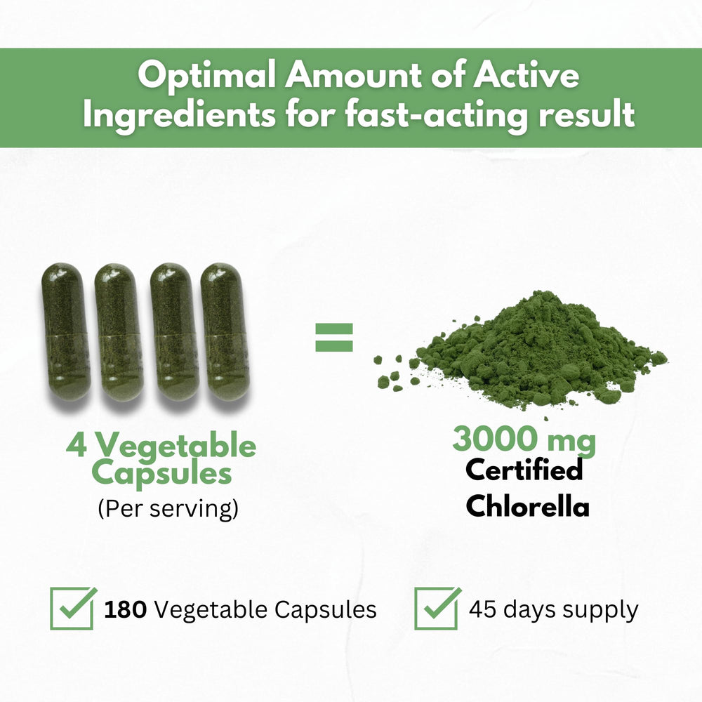 Illustration of cracked cell wall chlorella