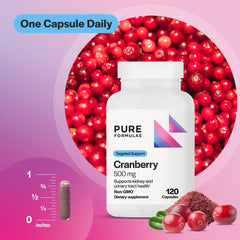 Cranberry extract capsules highlighting antioxidant benefits