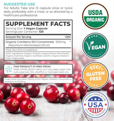 Illustration of cranberry fruit and powder