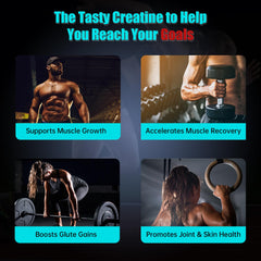 Bottle of Creatine Monohydrate Gummies Blueberry 120 Count