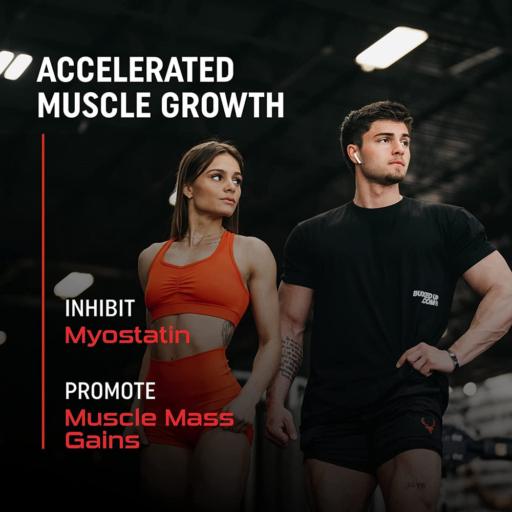 Creatine Monohydrate 2000mg dosage