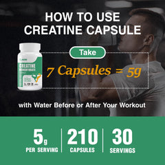 Ingredients of Creatine Monohydrate capsules