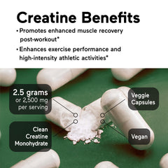 Ingredients panel for Creatine Monohydrate Pills
