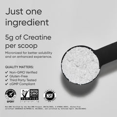 Close-up of micronized creatine monohydrate powder scoop