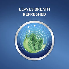Back packaging view of Crest Pro-Health 2-pack