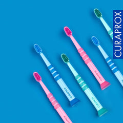 Dense CUREN bristles providing effective plaque removal