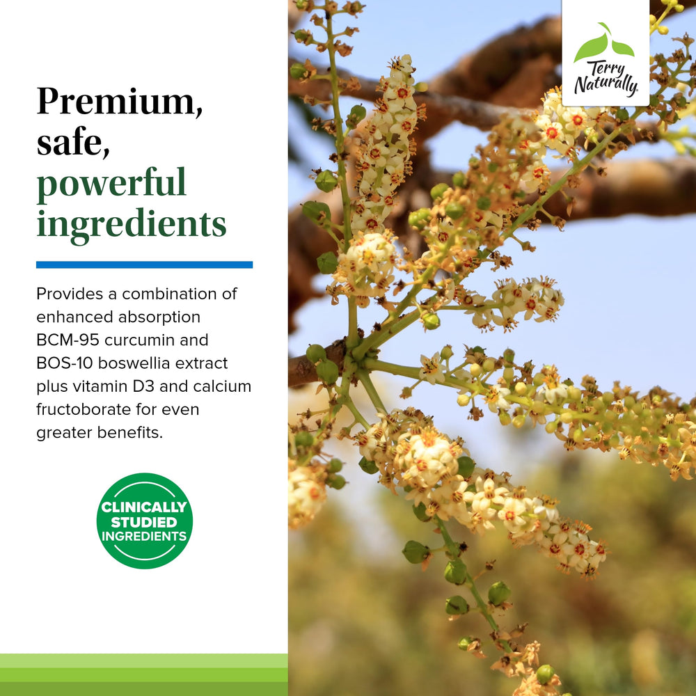 Bioavailable curcumin with turmeric essential oil and boswellia