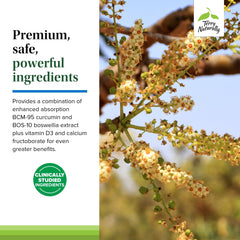 Bioavailable curcumin with turmeric essential oil and boswellia