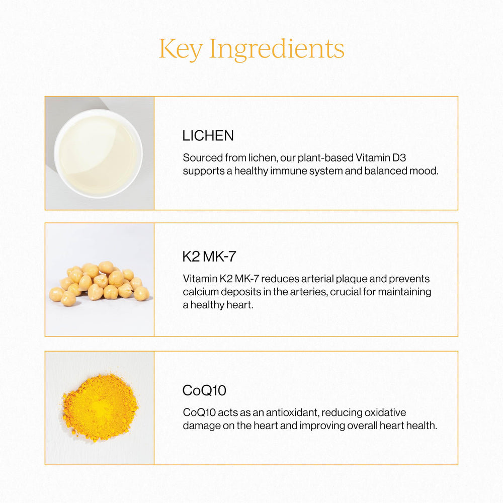 Liposomal delivery technology illustration