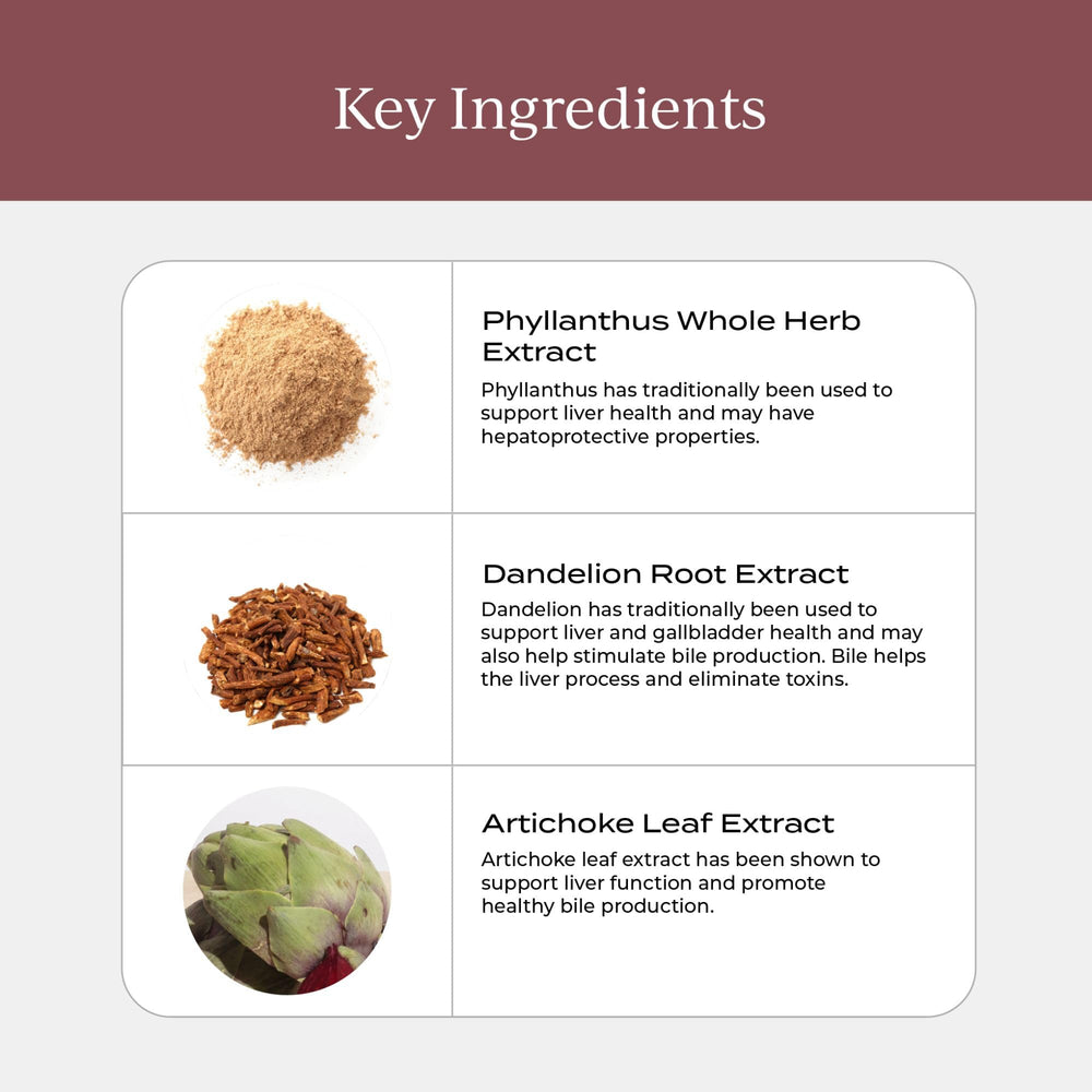 Graphic illustrating liver health, digestion and detox benefits