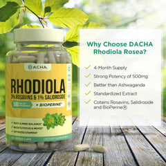 DACHA Rhodiola mood and focus support capsules on a desk