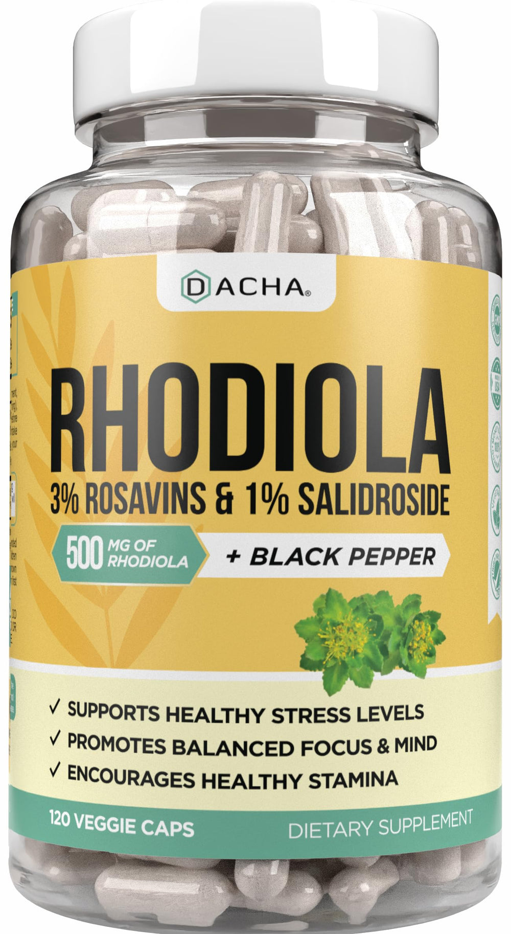 DACHA Rhodiola Rosea 500mg capsules for steady energy and focus