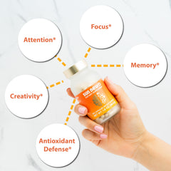 Daily brain food concept with nootropics for memory and focus