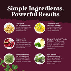 Daily dosage guideline for kidney support capsules