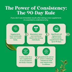 Lifestyle image showing daily liver health routine with capsules