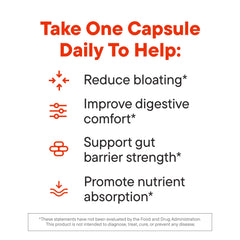 Digestive health and gut microbiome concept