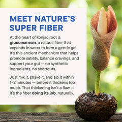 Glucomannan ingredient close-up for FeelFull