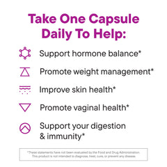 Illustration of gut health and hormone balance