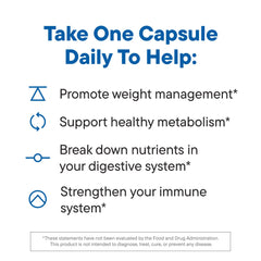 Capsule-in-capsule technology with vegan omega oil layer