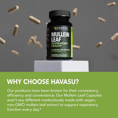 Mullein capsules for daily wellness and respiratory support