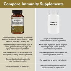 Illustration of Maitake mushroom