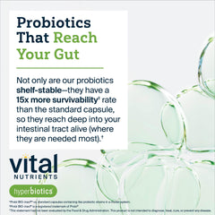 Dairy-free, non-GMO probiotic ingredients