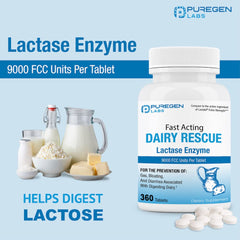 Graphic indicating fast-acting lactase enzyme for lactose digestion