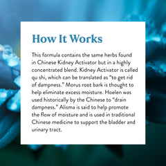 Concept image illustrating dampness removal in TCM