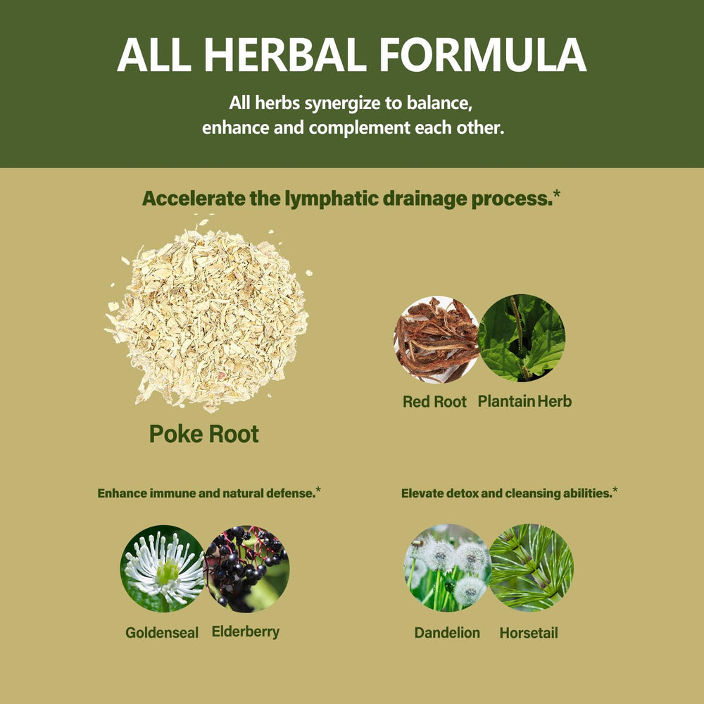 Herbal ingredients: Dandelion, Plantain, Horsetail