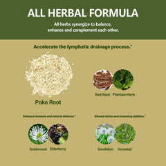 Herbal ingredients: Dandelion, Plantain, Horsetail