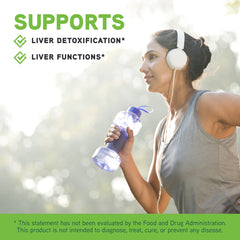 Milk thistle digestive health support illustration