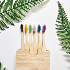 Six vibrant colors of DDOWA toothbrushes for daily use