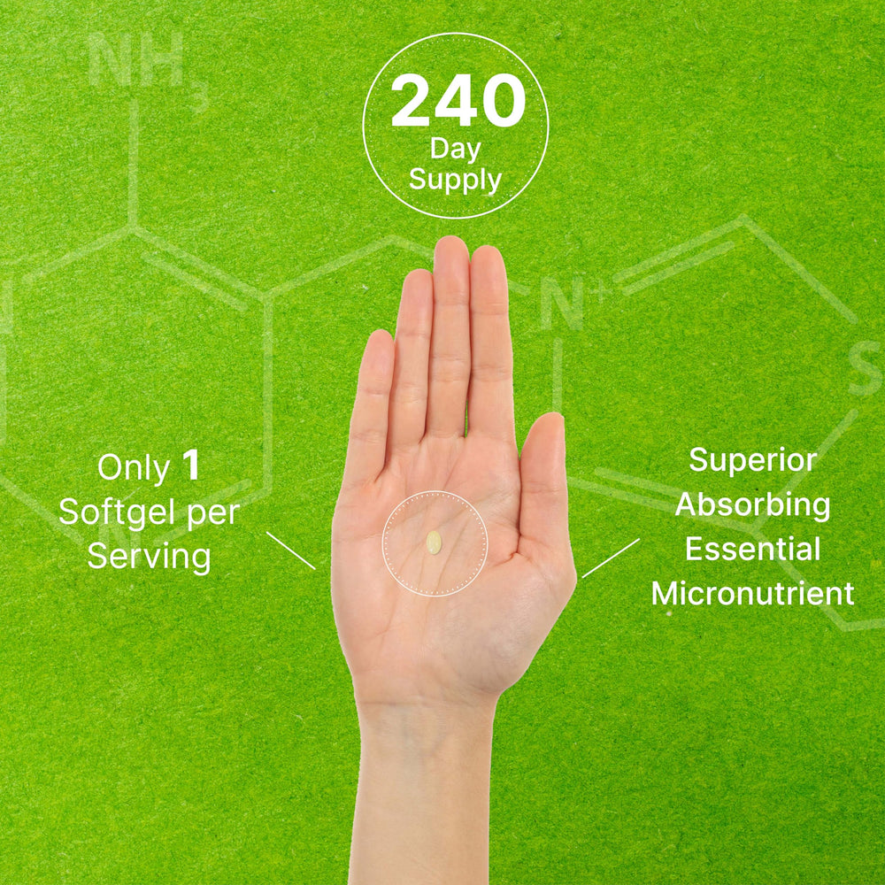 Infographic showing coconut oil enhances MK-7 absorption