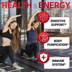 Illustration of herbs in DEDICAD formula: Wormwood, Black Walnut, Cloves, Ginger